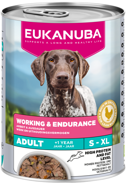 Adult Working & Endurance